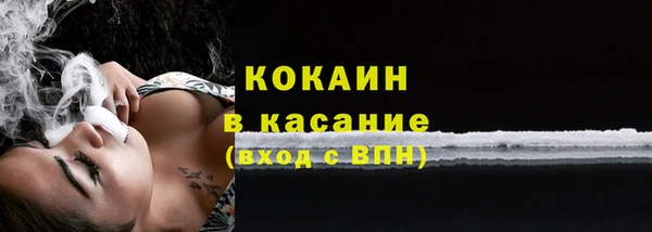 амф Арсеньев