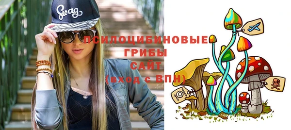 дмт Аркадак