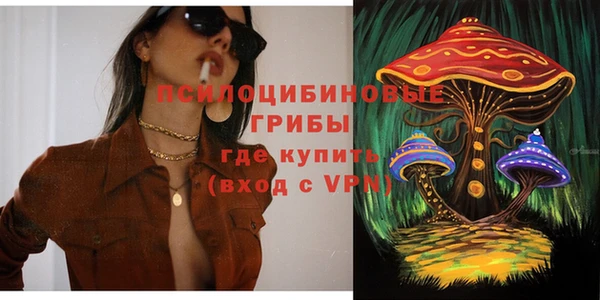 амф Арсеньев
