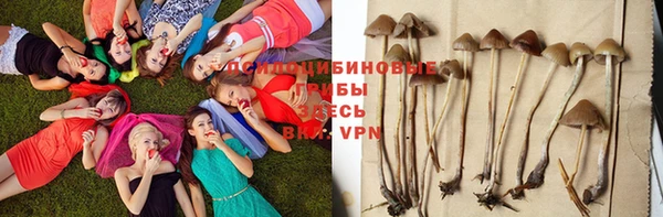 дмт Аркадак