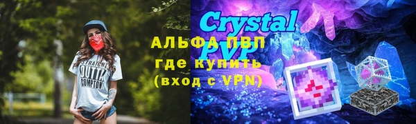 амф Арсеньев