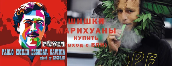 амф Арсеньев